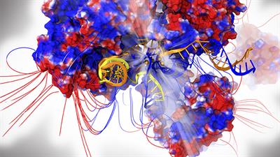 Unraveling the Molecular Mechanism of Pre-mRNA Splicing From Multi-Scale Simulations